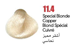 permanent hair colour coloray